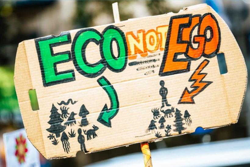 Curso de formación: GreenUp